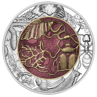 Edaphon