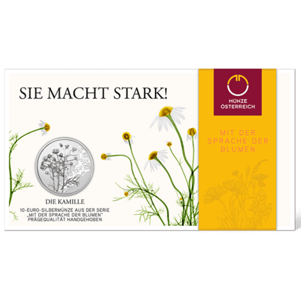 Die Kamille - Handgehoben