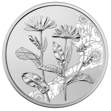 Die Ringelblume - Handgehoben Die Ringelblume - Handgehoben